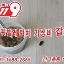 바퀴벌레119