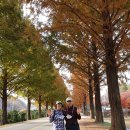 일성무주콘도미니엄 이미지