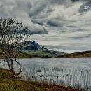 조이효요양병원 이미지