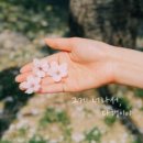 봄커피 - 울주군 신경3길 50-17 | 봄커피