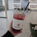 동해쿨 | 5주만에 50만원 수당까지! 2026 동해시 청년도전지원사업 단기1기 참여후기