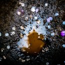 부천종합운동장 이미지