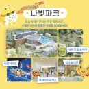 함평공영주차장(터미널앞) 내 | 2026 함평 나비대축제 가기 전 체크! 입장료·초대가수·야간 운영까지