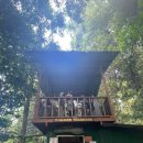 웰컴캐노피 이미지