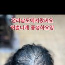 전라남도에서 왔씨요 허벌나게 풍성하요잉 부산사상르네시떼미용실/전라광주김해진주사천하동마산밀양거제가덕진해용원대저화명장유울산양산경남경북충청 이미지