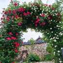 란스테이 이미지