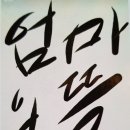 다육뜰