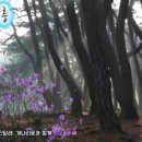 반곡목장 이미지