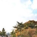 반쟁이공원 Daum카페
