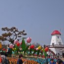 '바다와 모래, 꽃의 향연' 신안튤립축제를 가다(4월9일) 이미지