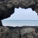 [제주도 서일주] DAY2. 머슴네김밥, 옹포리, 제레미커피, 비스타리조트, 듀포레