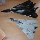 F14 이미지
