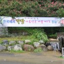 남사-8 Daum카페