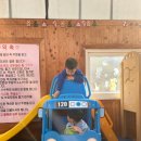 서울 근교, 경기도 광주 딸기 따기 체험 농장 방문 - 숲속에 딸기
