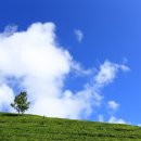 준스터디학원 이미지