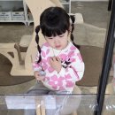 미어캣인더시티 이미지