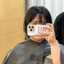 제주 미용실 헤어스케치 연동 본점 | 정창주 대표님 예약 후기