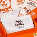 요세라코리아 네이버블로그