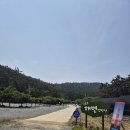 애견동반 /태안 구름포해변캠핑장 자세한 사이트 소개와 후기