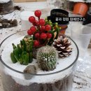 치유정원연구소 이미지