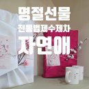 자연애담은