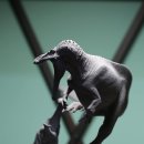 사르코수쿠스 이미지