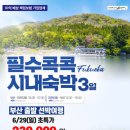 강대표투어 이미지