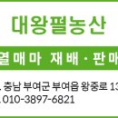 대왕농산