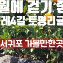 비석사거리 네이버블로그