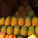 파인애플 이미지