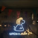 웨그앤코 이미지