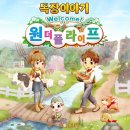 매시코리아 이미지