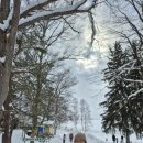 정호선 행정사 사무소 이미지