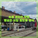 장*진 - 안양시 동안구 | 속초 홍게 맛집 진 세이로무시, 속초 현지인맛집 홍게장 새우장 후기