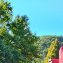 청량산의 봄 | 이어폰을 빼요 : 인천 청량산(높이, 등산코스, 공영 주차장, 트레킹 뜻)