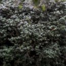 옥룡사지 이미지