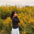 서울연구원 1층 화장실 | 디저트먹둥이와 🚃 srt 타고 떠난 1박 2일 전라남도 나주여행