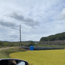 남천안IC(조치원) 이미지