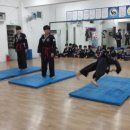 합기도 성무관 이미지