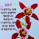 씨앗사랑 이미지