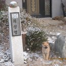 산골짜기 이미지