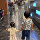 하대동153 이미지