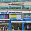 펫 인 이미지