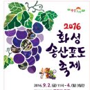 농산물포도판매 이미지