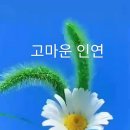 동방유통 이미지