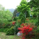 우리들민박 이미지