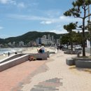 달맞이어울마당 Daum카페