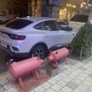 돈부꾸 이미지