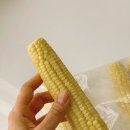 비옥상회 이미지