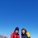 노홍섭 Daum카페